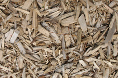 biomass boilers Tarbrax